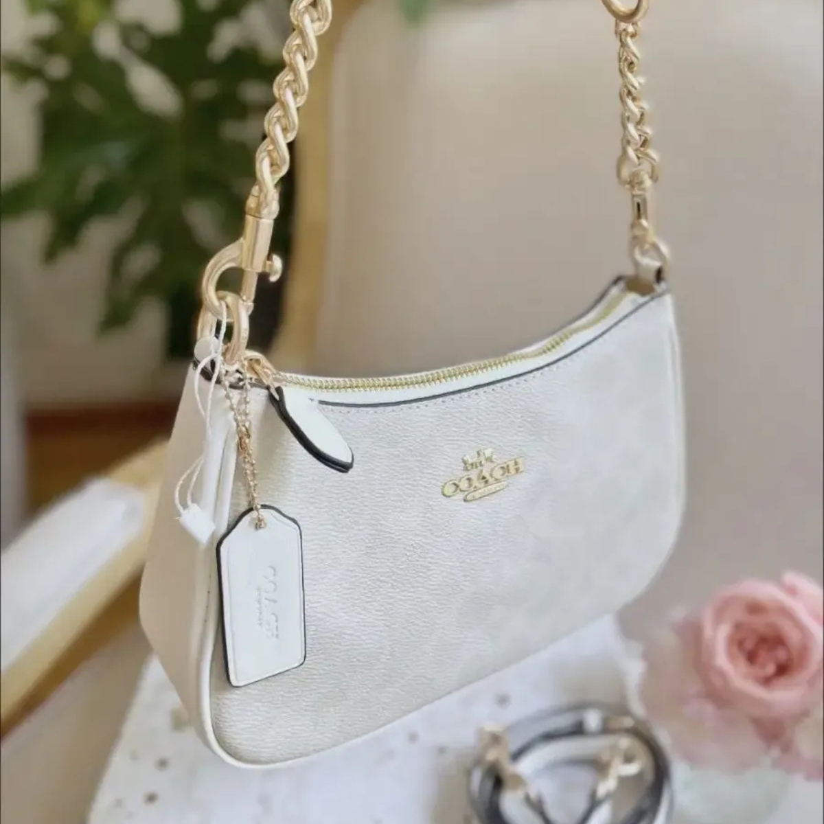 Coach Teri Signature Canvas Tas