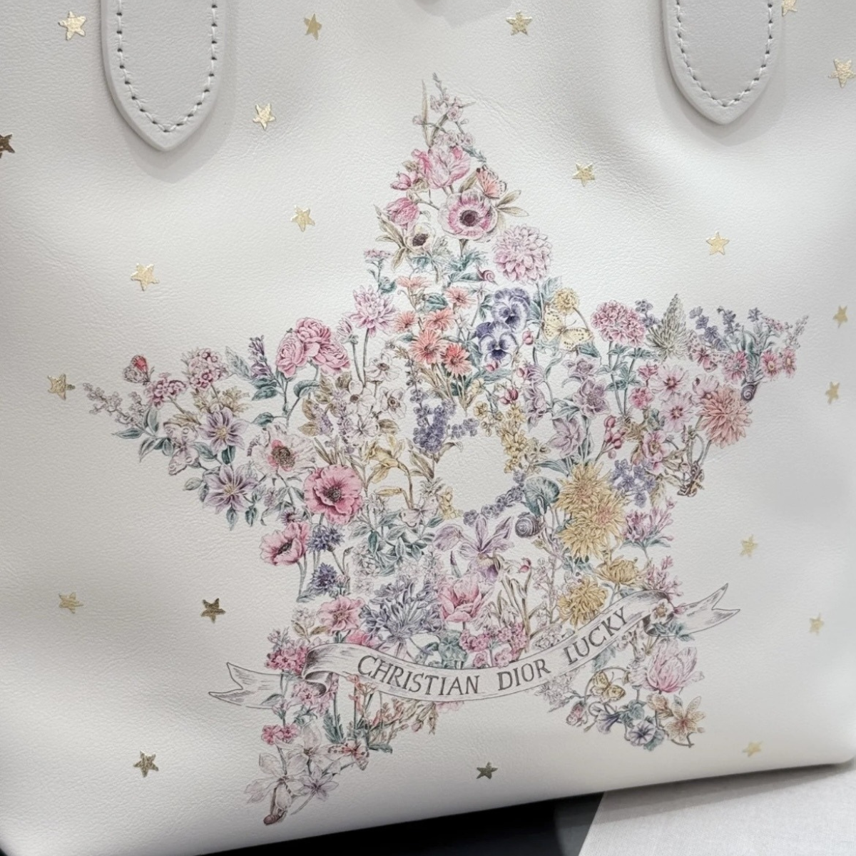 Dior – Vertical Small Lucky Dior Toujours-tas